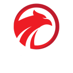 Falcon Store